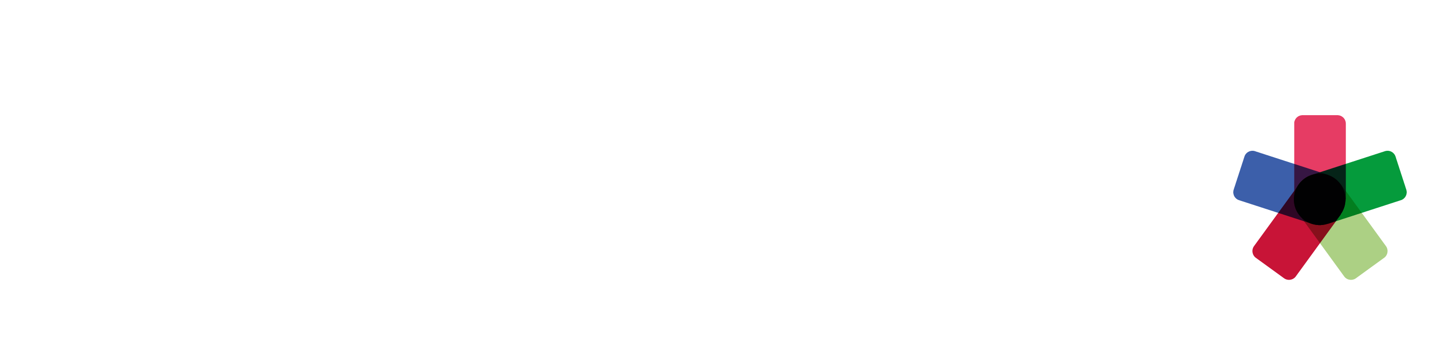 evostar logotype